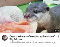 72414